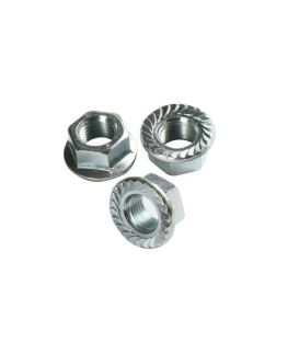 1/2”-13 Stainless Serrated Hex Flange Nut, Stainless Steel Nuts 25 Pack 304 by Bolt Dropper 18-8 
