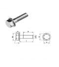 Hexagon Head Bolt with Flange (No serration) Din 6951 -  Stainless Steel